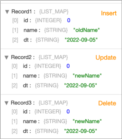 Output Data showing three records