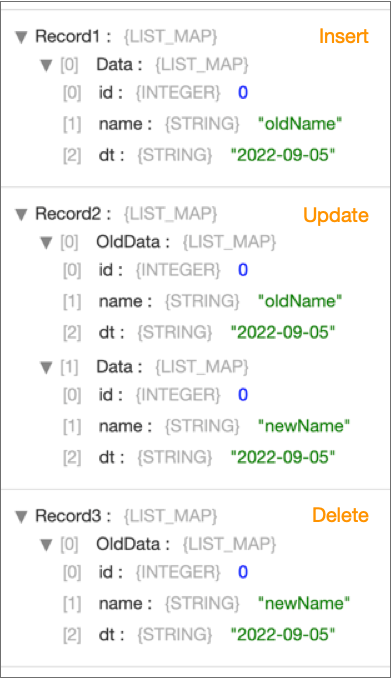 Output Data showing three records