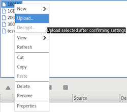 Start a transfer in the advanced transfer mode.