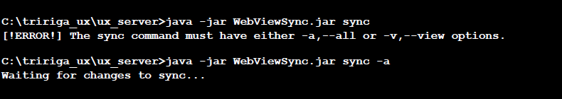 Example of starting the view sync