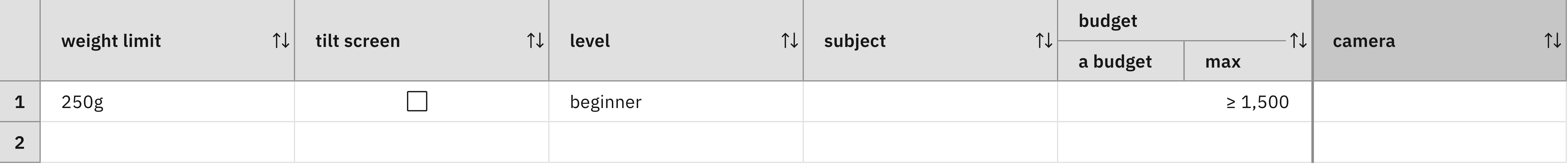 A decision table with one row and six columns