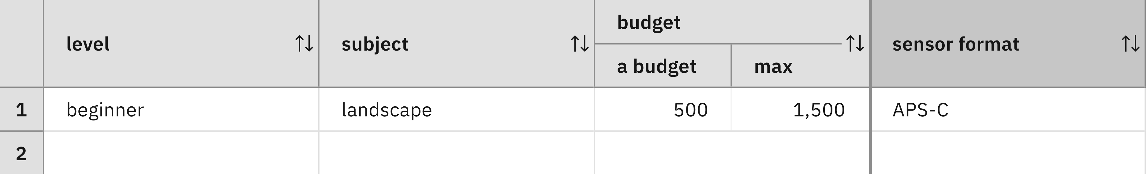 A decision table with one row and four columns