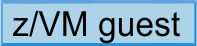 z/VM guest