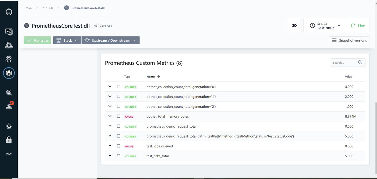 Capture d'écran: Prometheus .Net Core Client Metrics