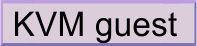 KVM guest