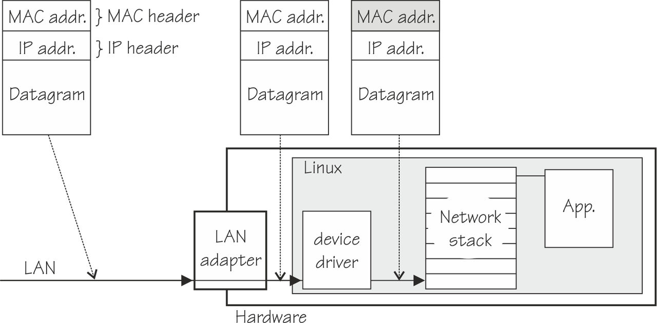This graphic is described in the surrounding text.