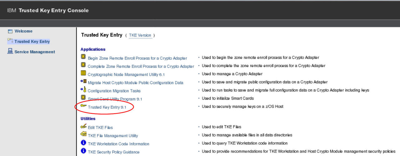 TKE Console - initial window
