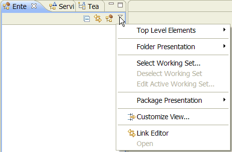 Customize Java EE