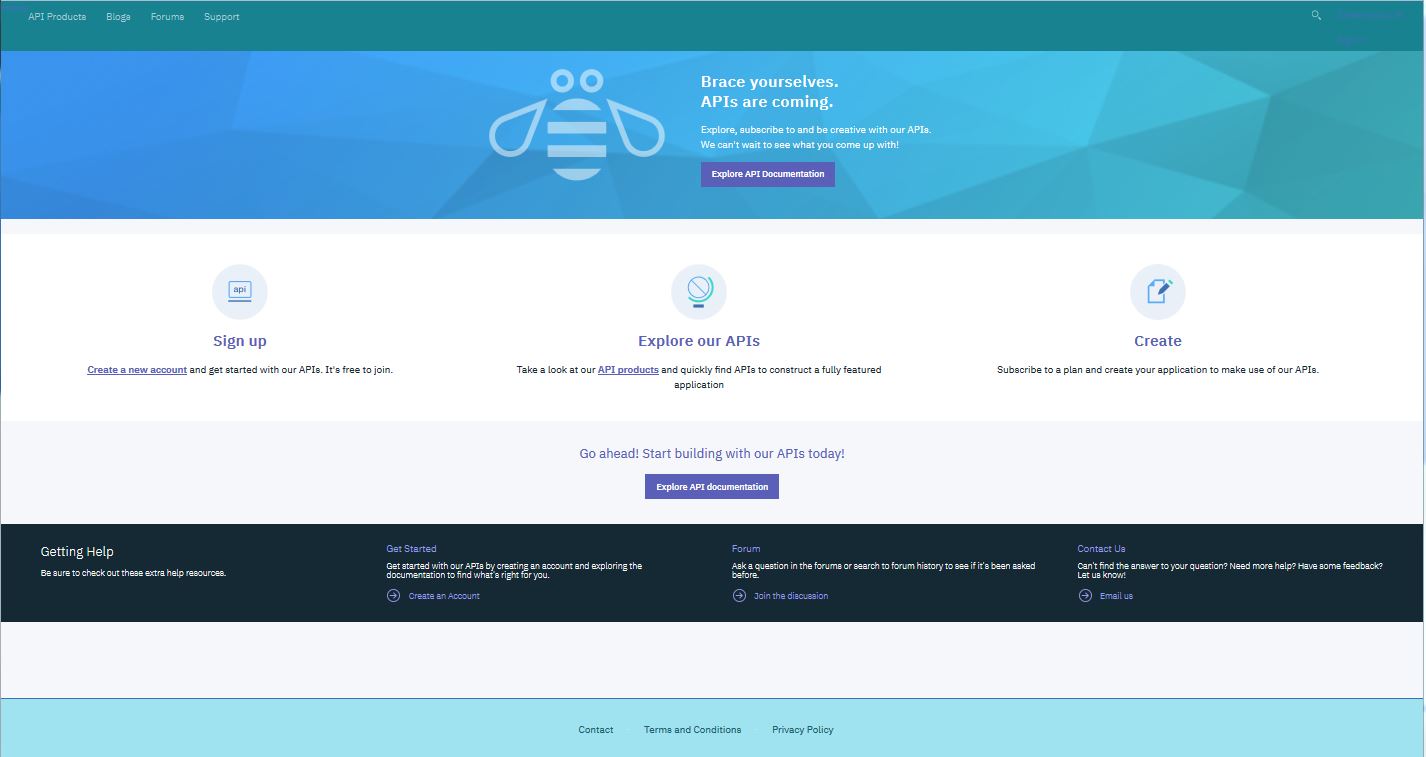 带有示例定制主题的 Developer Portal 主页。
