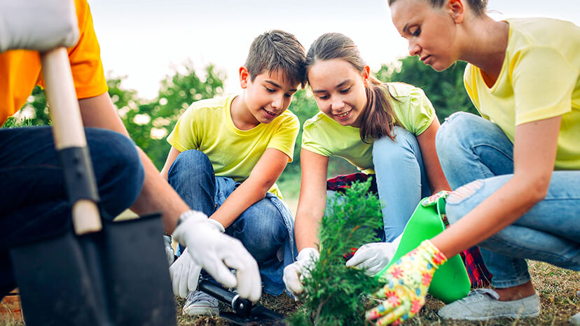 Teenaged brother and sister in bright yellow t-shirts smile as they plant a pine seedling with other volunteers