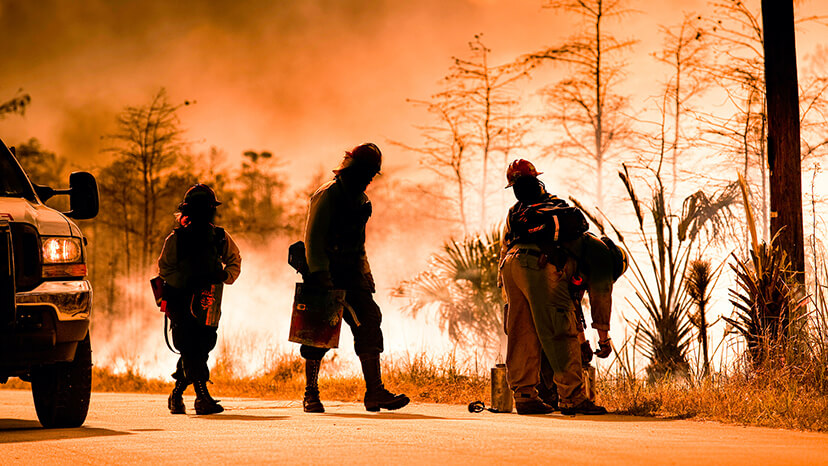 Four firefighters prepare to set backfires to try and contain the wildfires that have ravaged the Australian countryside