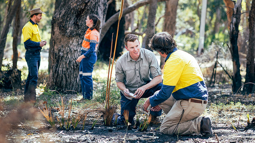 Two young male conservation workers in the forest compare field notes while kneeling next to an area of newly planted grasses