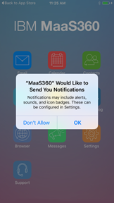 MaaS360 for iOS app container