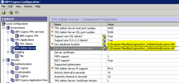 Screen showing the TM1 Server configured for TLS.