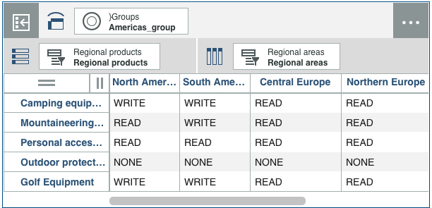 Cell security view that shows different permissions for the Americas_group
