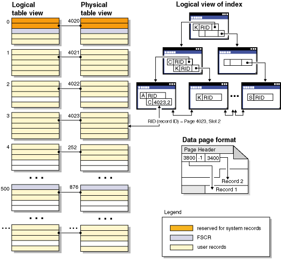 Figure showing logical table, record and index structure for standard tables