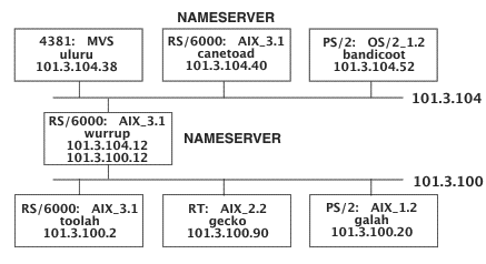A TCP⁄IP network