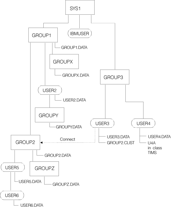 Group-level authority structure