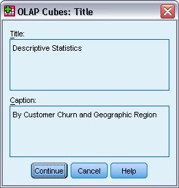 Dialog box for specifying a title and caption for OLAP Cubes analysis