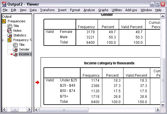جدول تكرارات الجنس وفئات الدخل - إجراء تحليل سريع في SPSS