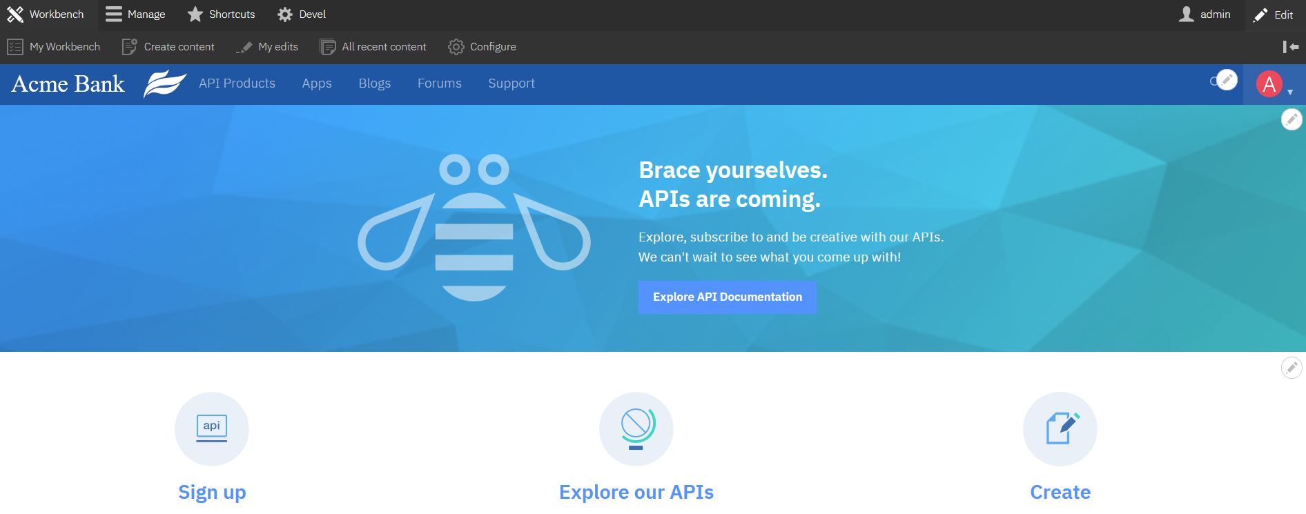 The Developer Portal home page with an example custom theme.