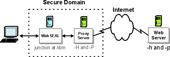 Example proxy junction