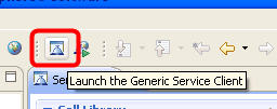 screen capture showing the button which launches the Generic Service Client