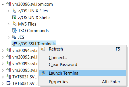 Launch SSH Terminals from Remote Systems view