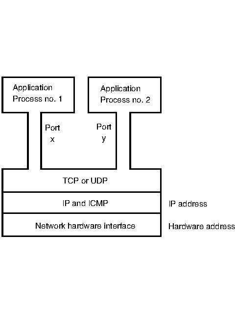 Diagram that shows two application processes with their specific port numbers although they share the same protocol, IP address, and hardware address.