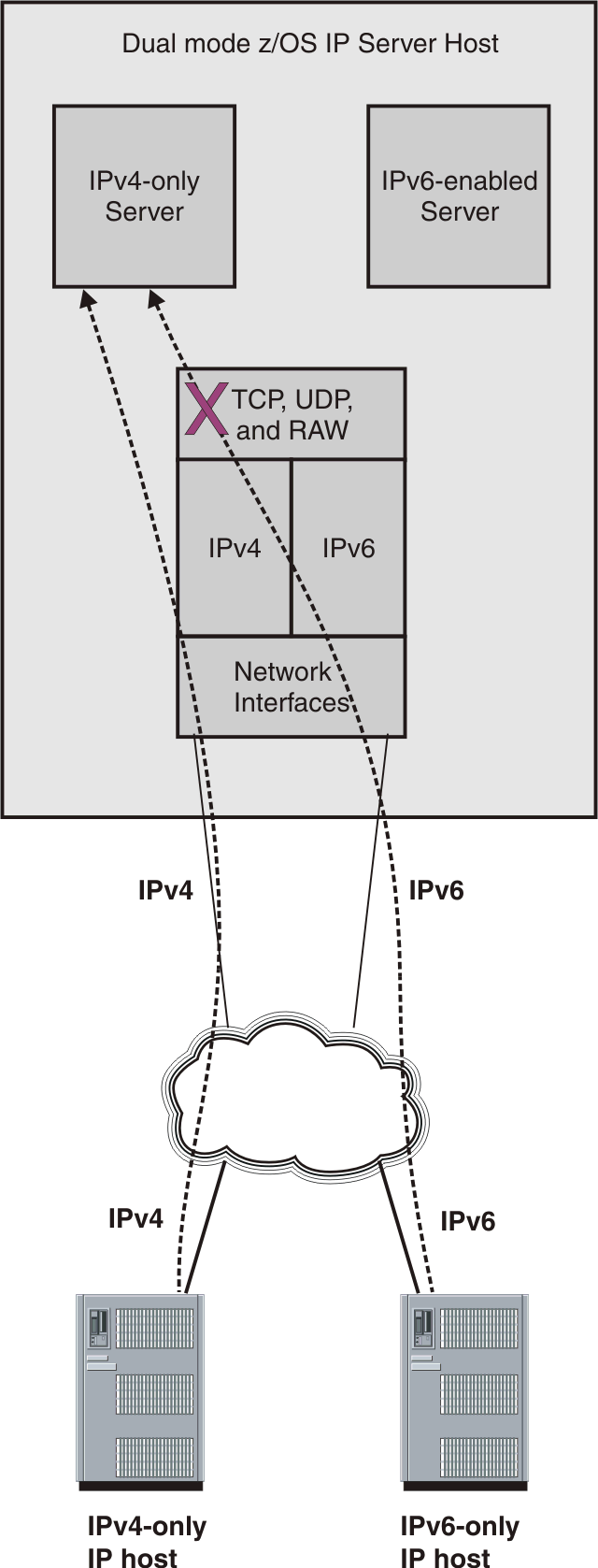 IPv4-only IP host communicates with an IPv4-only server; IPv6-only IP host cannot communicate with an IPv4-only server