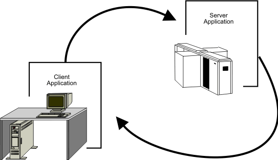 The Client/Server Computing Environment