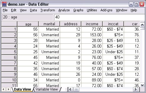 The Data Editor displaying data from demo.sav. Value labels are displayed in the place of data values.