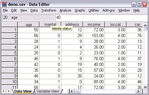 The marital status variable label is displayed when the mouse hovers over the marital column heading.