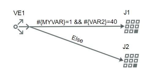 Flow input variables are used in the variable evaluator to run branches