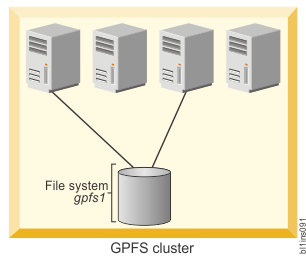 This figure shows a cluster with some nodes connected to disks.