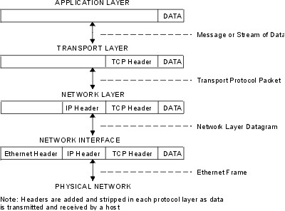 Host data transmissions and receptions