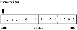 Integer Representation of the Number -21544