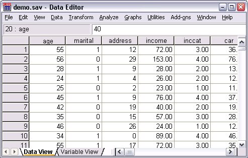 demo.sav からのデータを表示しているデータ・エディター。