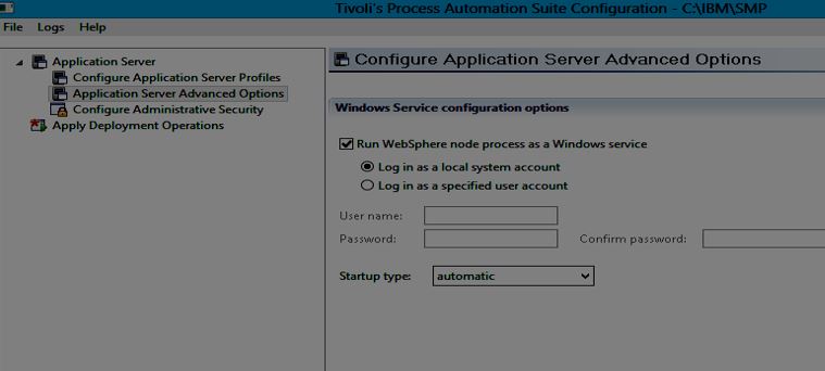 Application Server Advanced Options