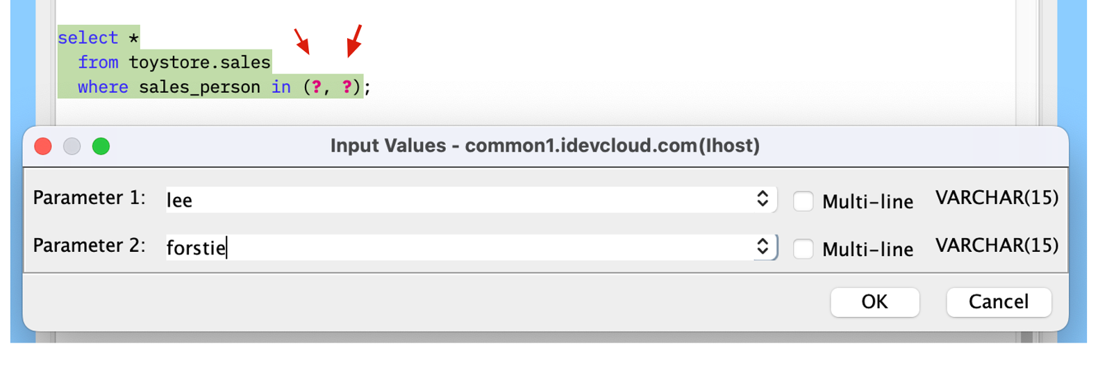 SQL Prompting Example 2