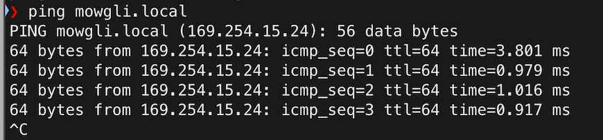 ping output