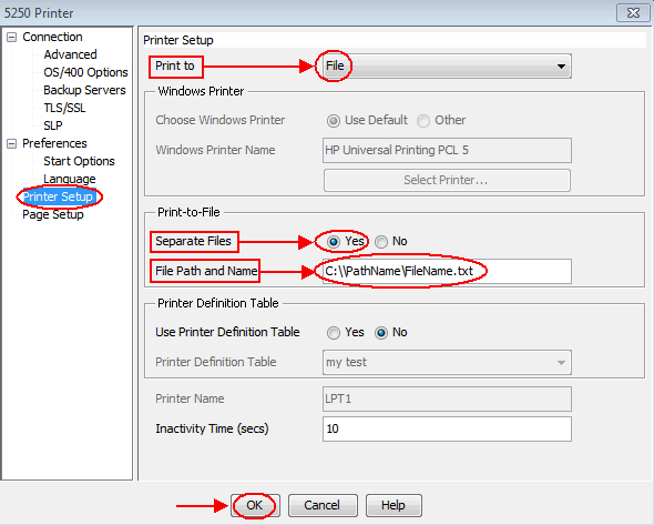 Print screen of the Printer Setup settings, identifying Print To as File, Separate Files as Yes and File Path and Name highlighted as well as the OK button