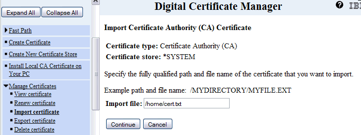 Picture showing DCM screen where the import file name is specified.