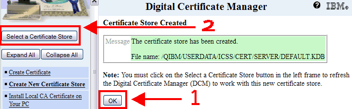 Success screenshot.  Click OK and then click the Select a Certificate Store button to sign into the new *SYSTEM store.