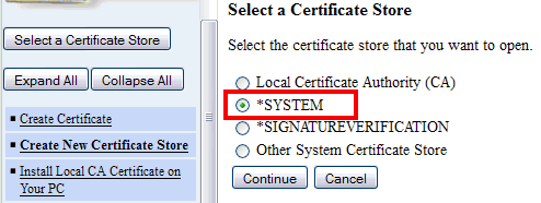 Screenshot showing the *SYSTEM store is selected.  