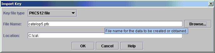IBM Key Management Import Key window has the file name specified.