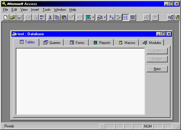 Microsoft Access 7 screenshot of the standard work environment.