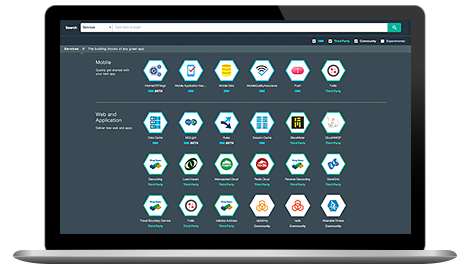 IBM Bluemix